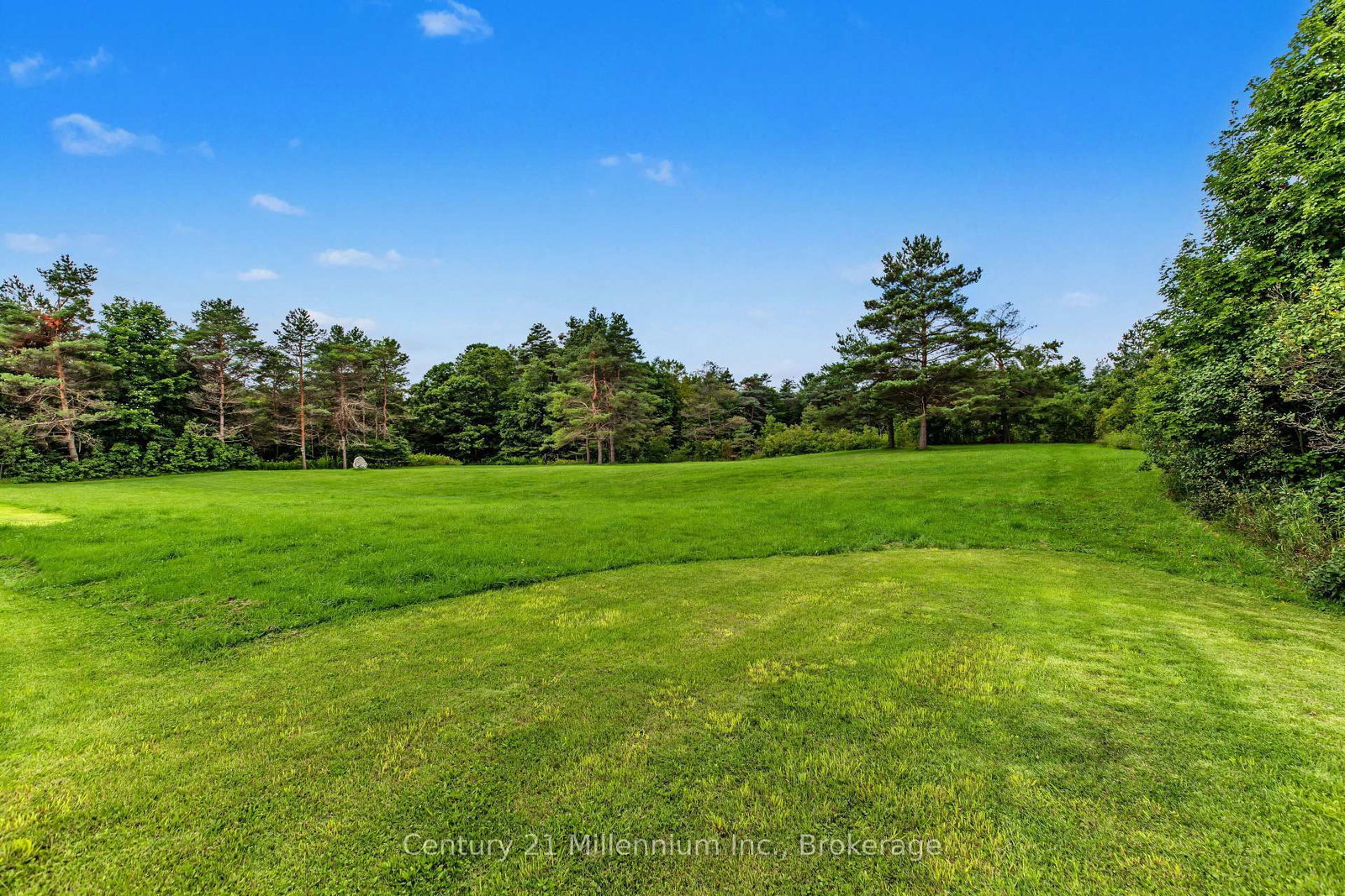 580283 Sideroad 60 • Chatsworth, ON photo 10