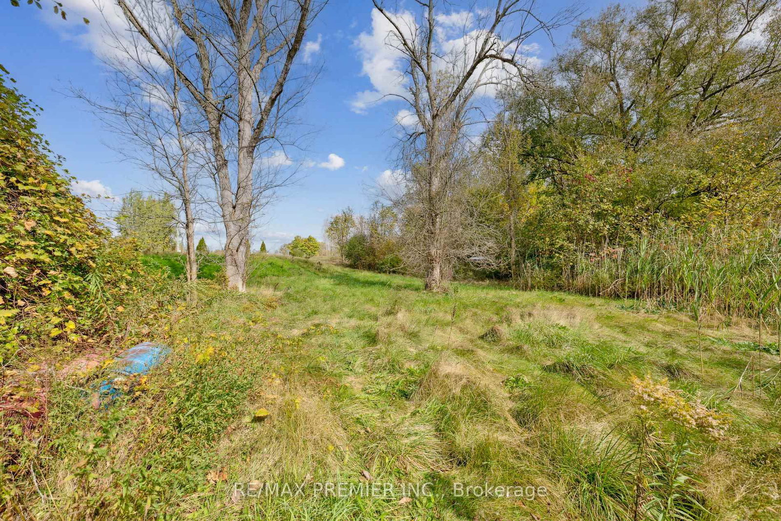 294 Lyon's Creek Road • Niagara Falls, ON photo 22