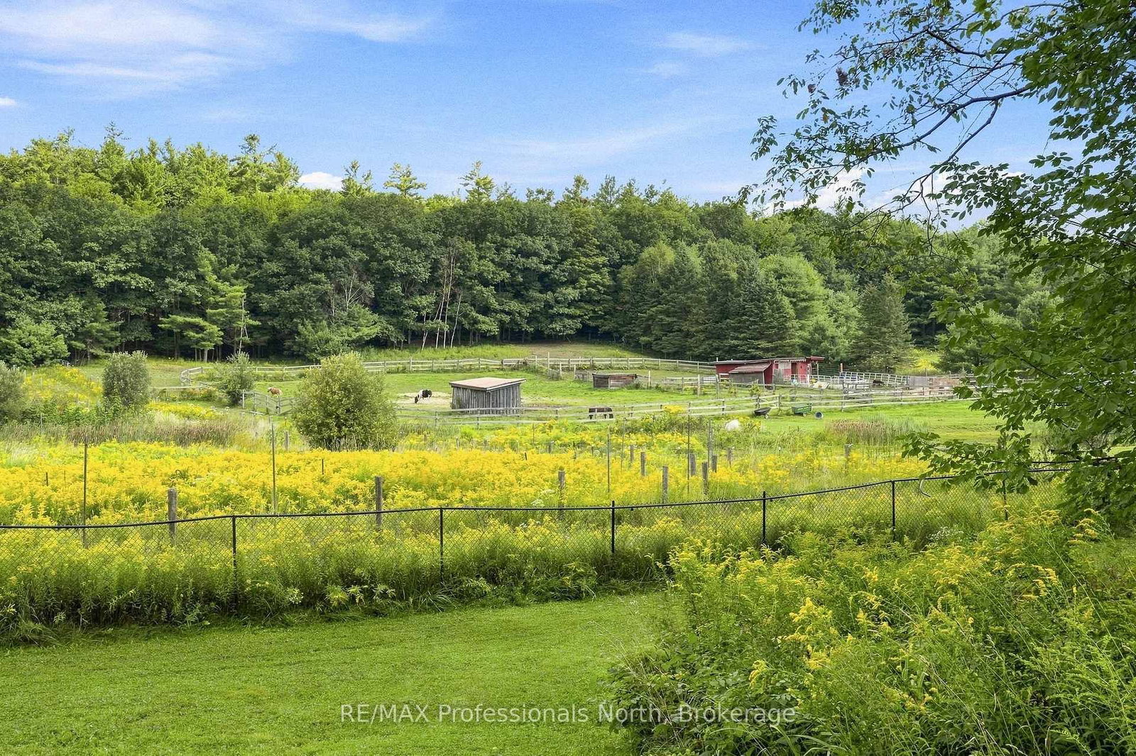 1110 Golden Beach Road • Bracebridge, ON photo 39