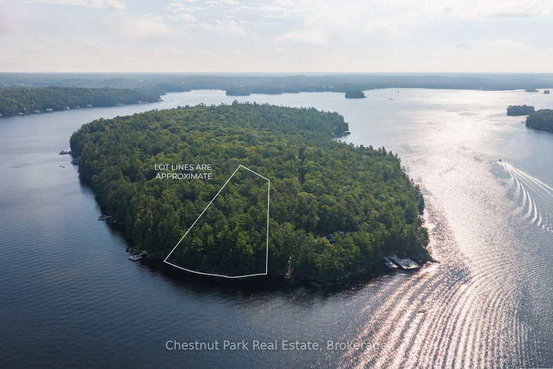 West Side of Island M81 - Pine Island