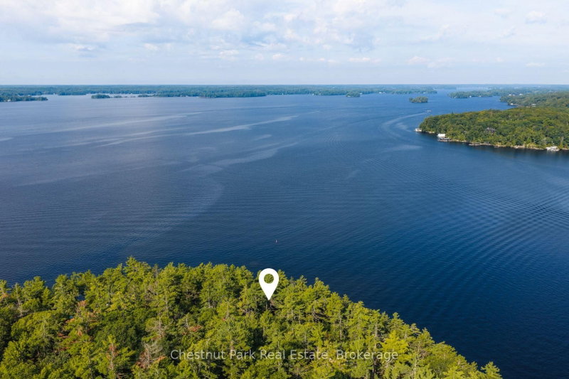 West Side of Island M81 - Pine Island