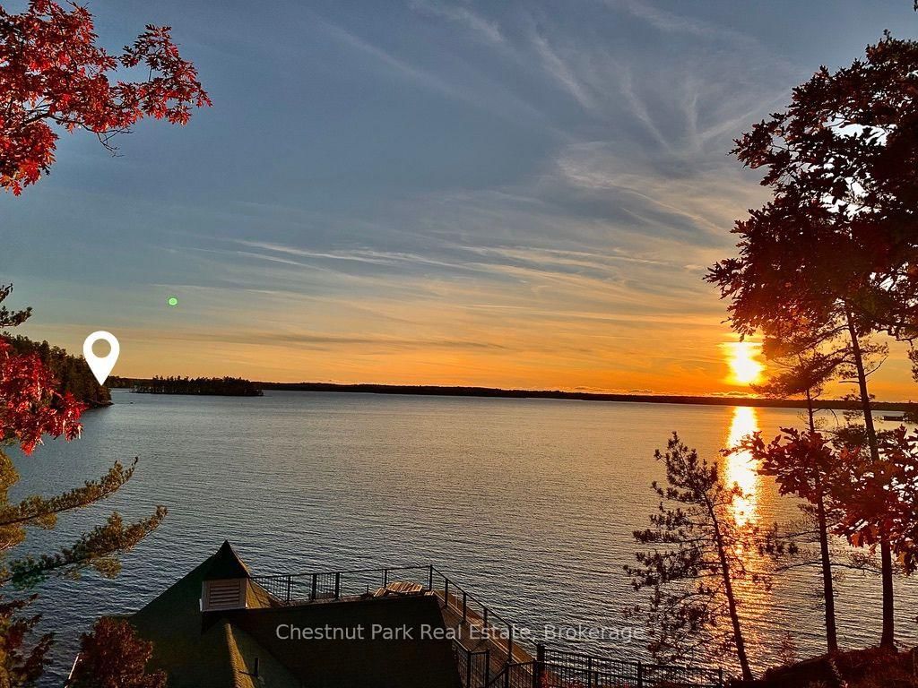 West Side of Island M81 - Pine Island • Muskoka Lakes, ON photo 6