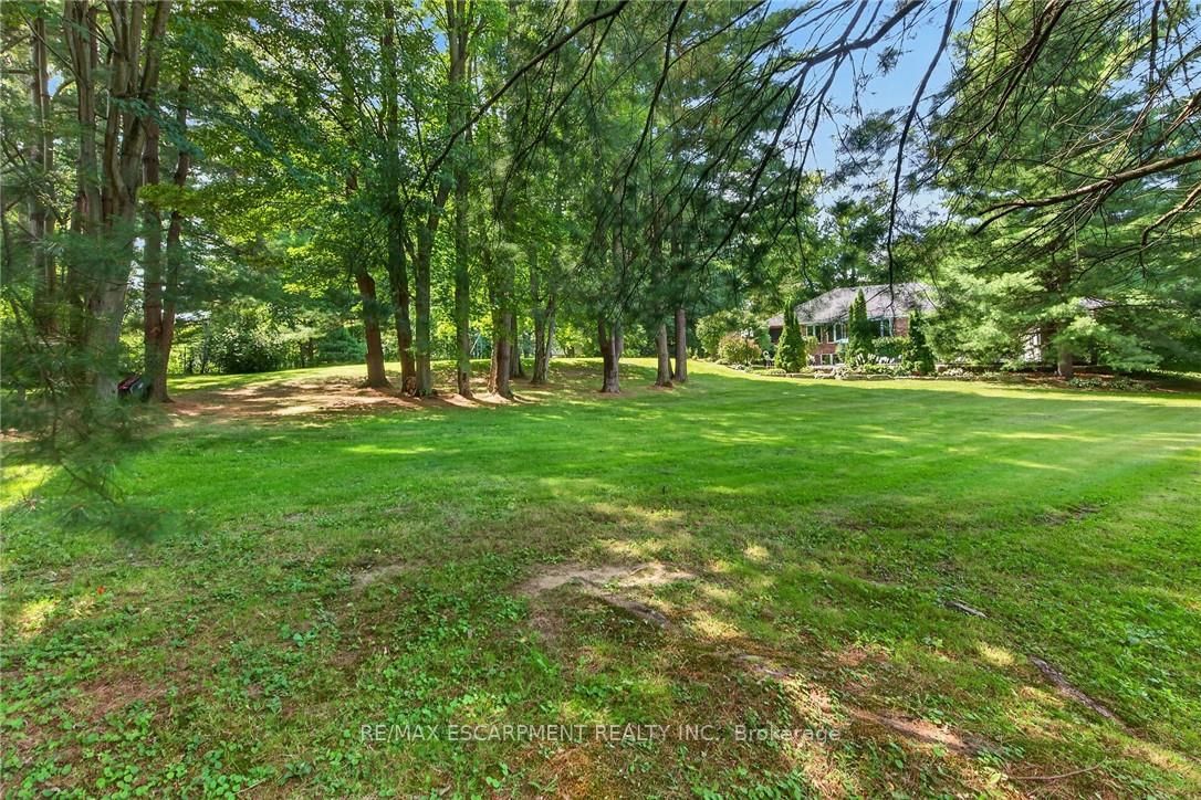 3 Forest Glen Court • Norfolk, ON photo 49