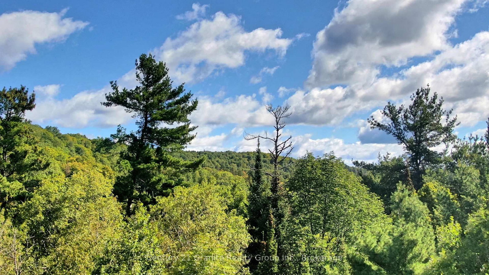 0 28 Highway E • Bancroft, ON photo 13