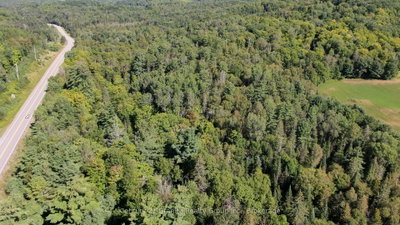 0 28 Highway E • Bancroft, ON photo 4