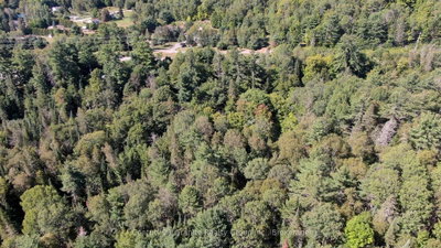 0 28 Highway E • Bancroft, ON photo 6