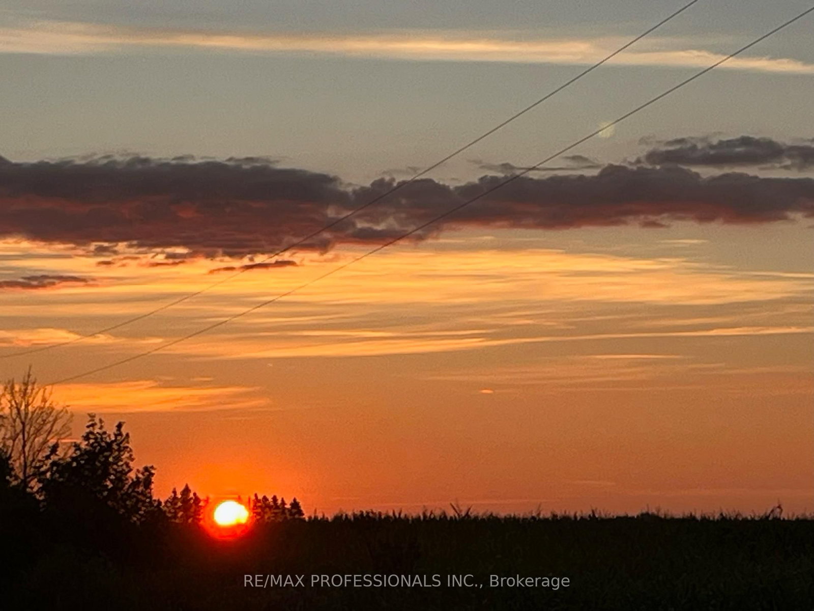 2493 CONCESSION 19 Road • Casselman, ON photo 45