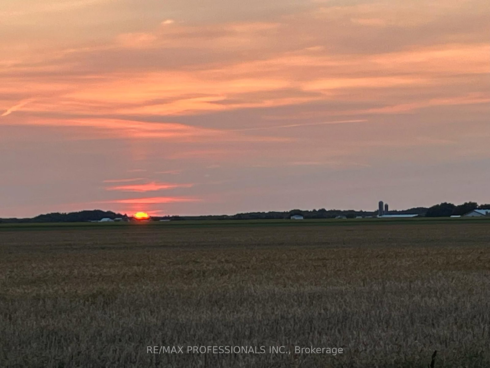2493 CONCESSION 19 Road • Casselman, ON photo 46