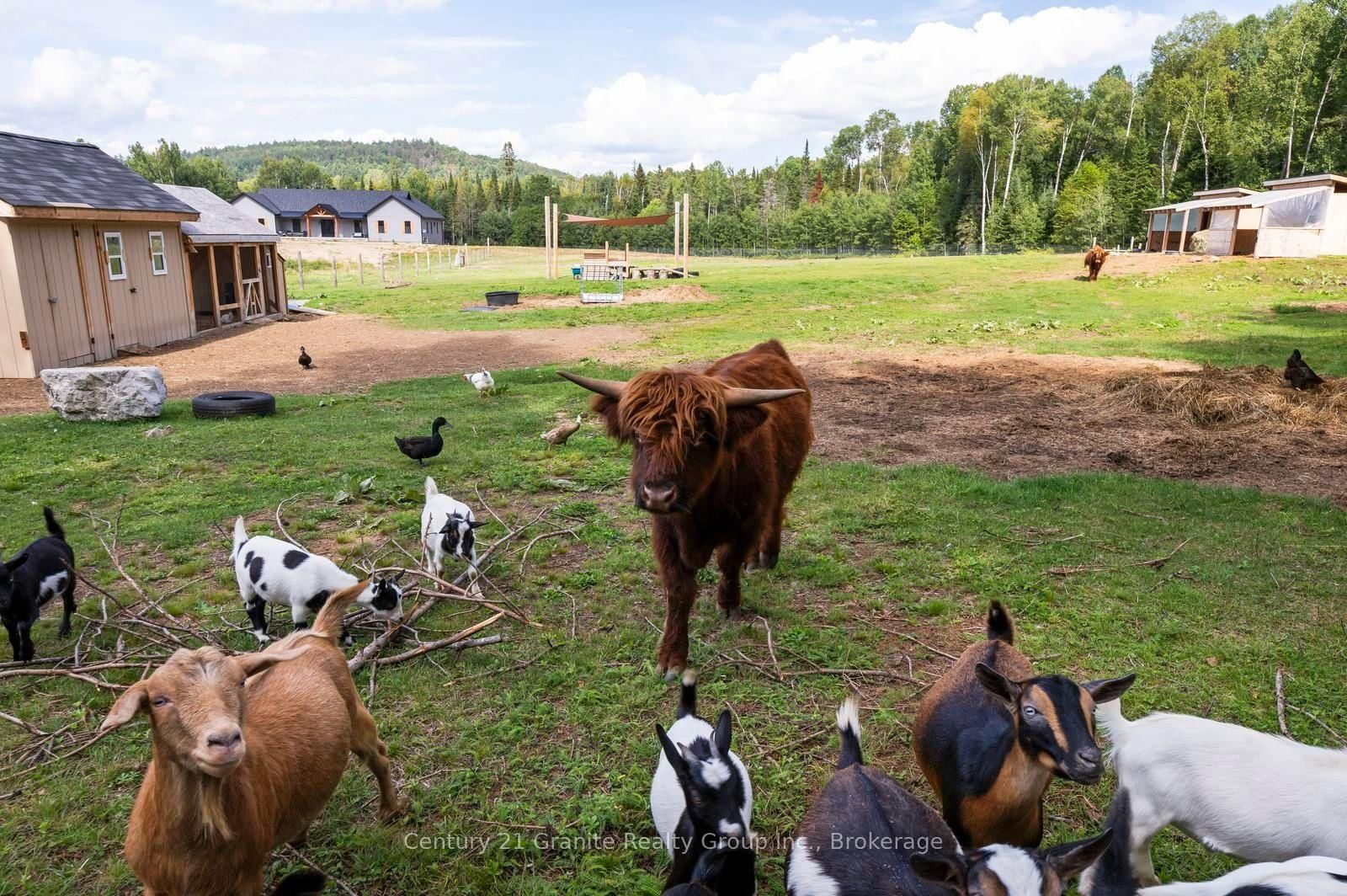 605 Browns Road • Boulter, ON photo 40