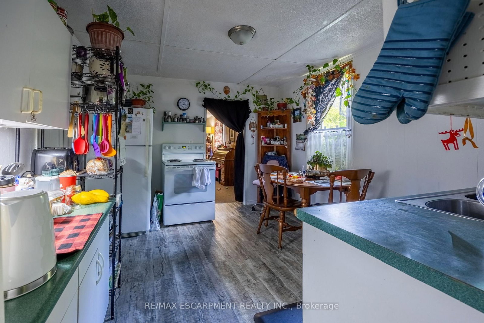 317 St Patrick Street • Norfolk, ON photo 8