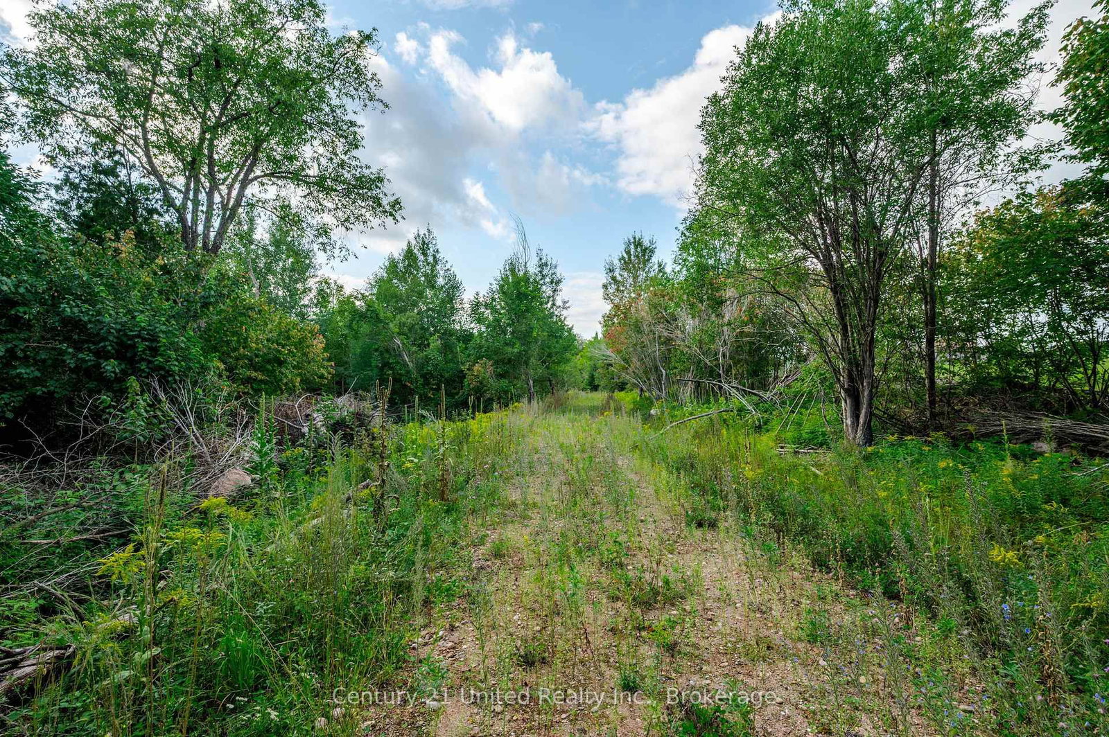 702 Letterkenny Road • Palmer Rapids, ON photo 38