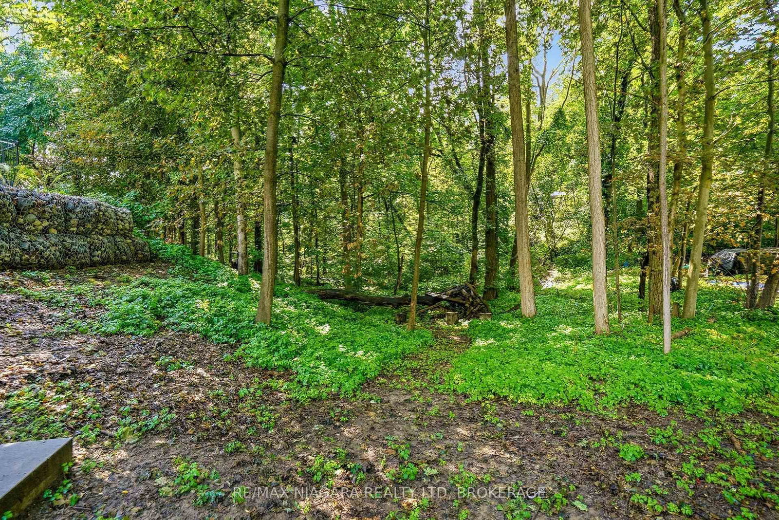 25 Berkhout Terrace • Pelham, ON photo 48