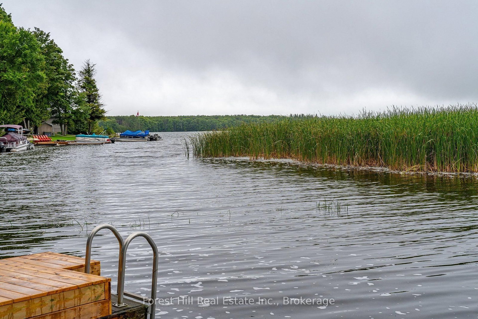 218 Wiles Lane • Grey Highlands, ON photo 16