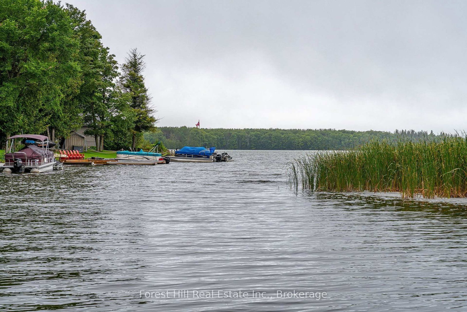 218 Wiles Lane • Grey Highlands, ON photo 17