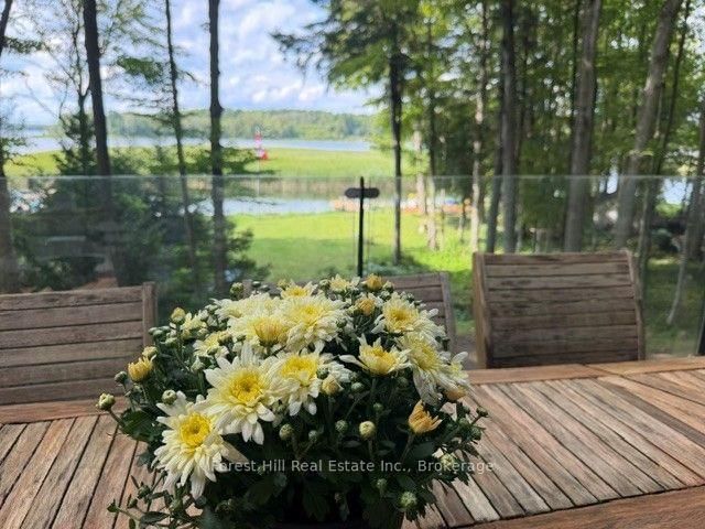 218 Wiles Lane • Grey Highlands, ON photo 4