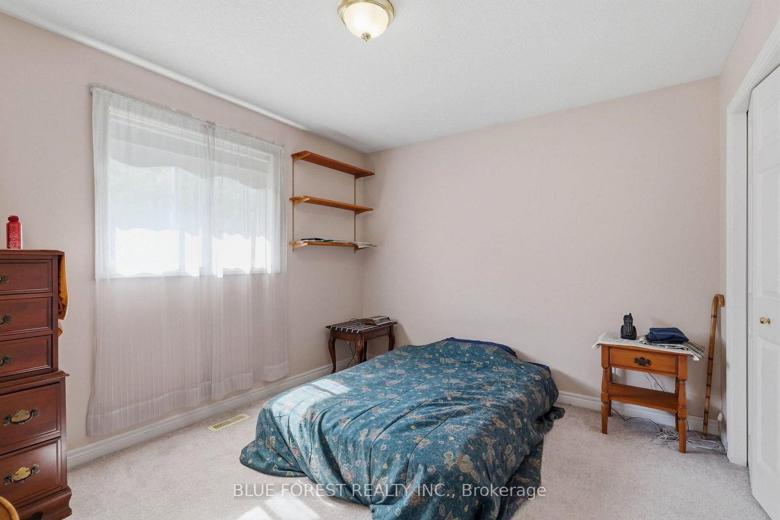 236 Margaret Street • Dutton/Dunwich, ON photo 17