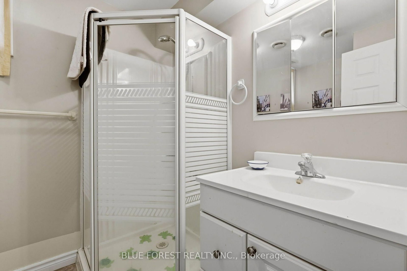 236 Margaret Street • Dutton/Dunwich, ON photo 23