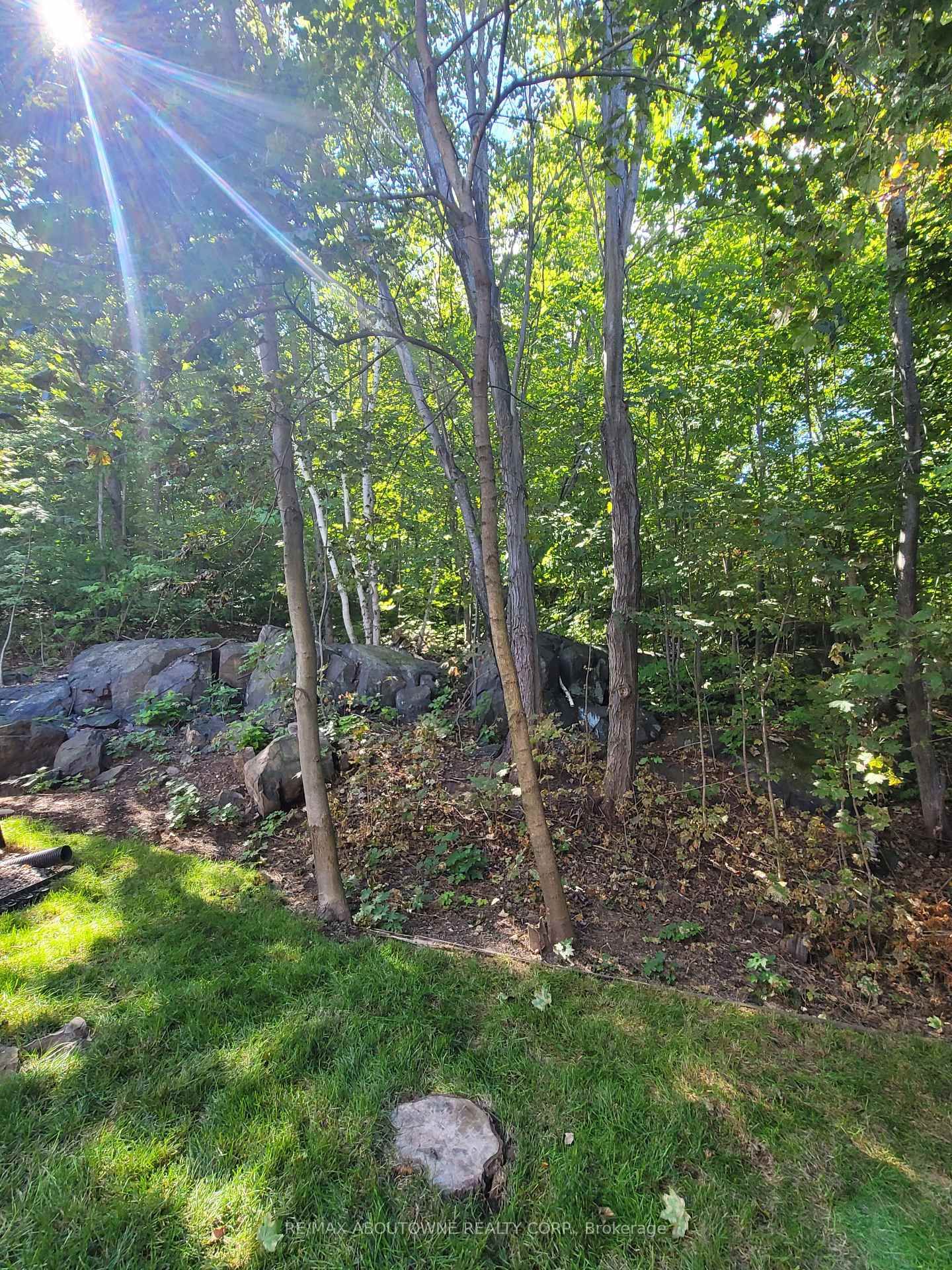 2023 Latimer Crescent • Greater Sudbury, ON photo 44