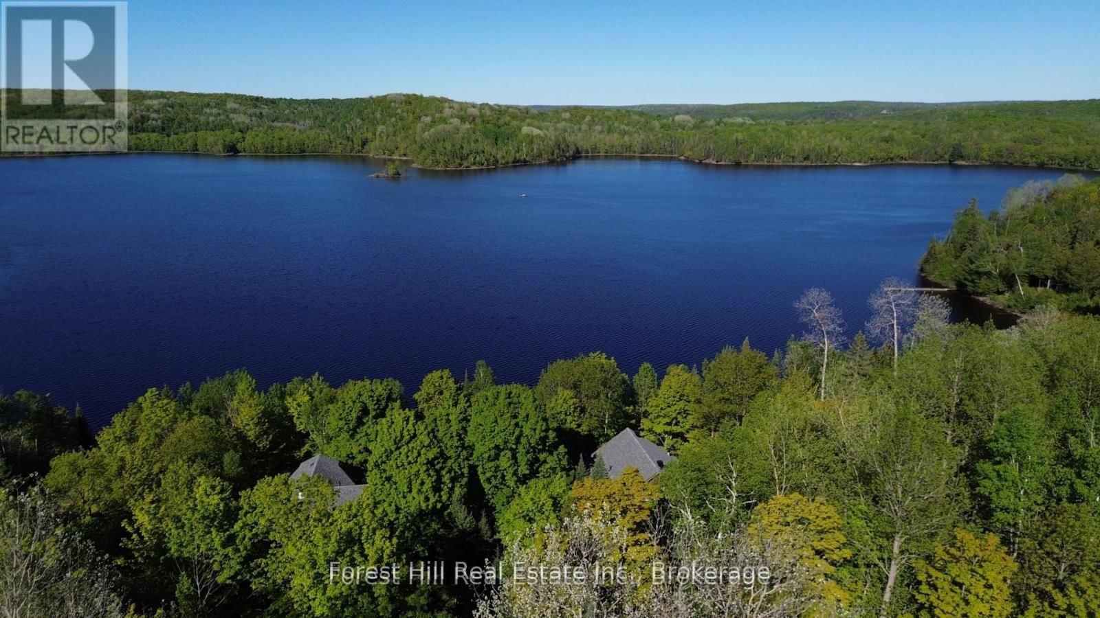 919 Limberlost Point Road • Parry Sound Remote Area, ON photo 8