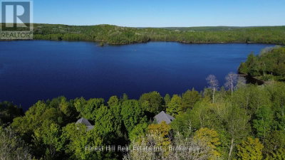 919 Limberlost Point Road • Parry Sound Remote Area, ON photo 8