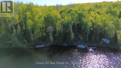 919 Limberlost Point Road • Parry Sound Remote Area, ON photo 9