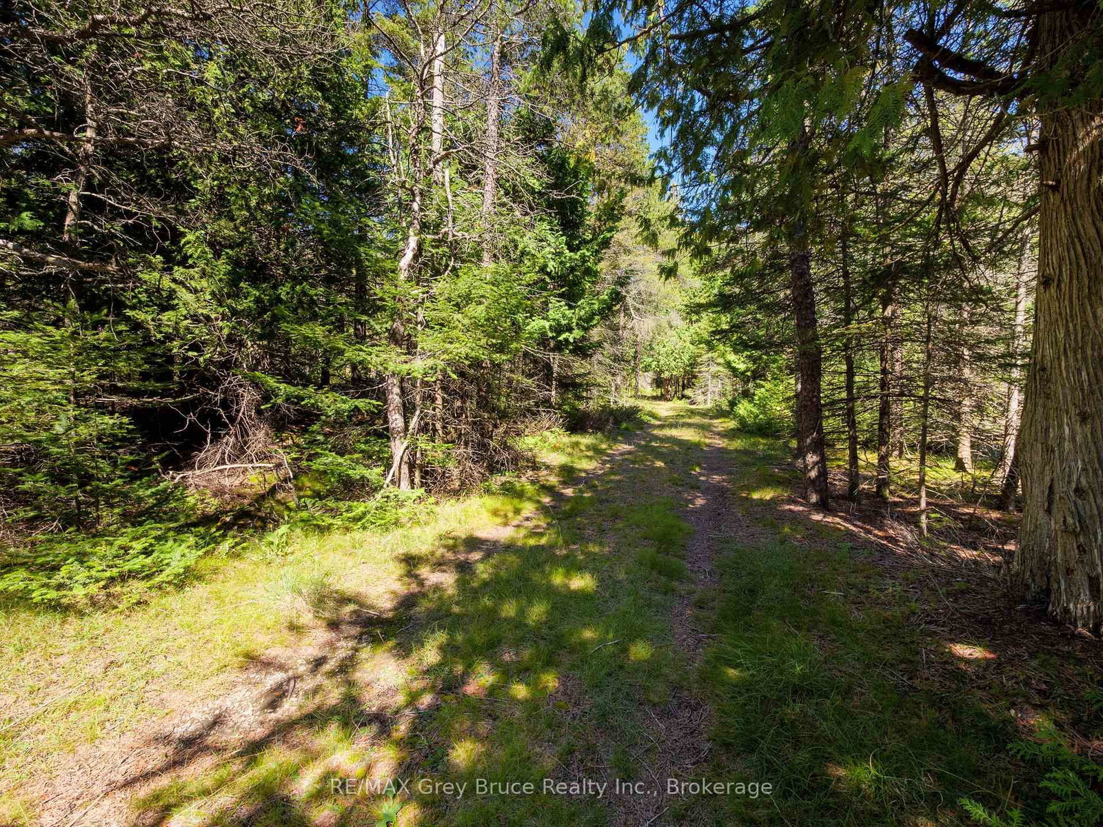 LT 191 PL 433 Dorcas Bay Road • Northern Bruce Peninsula, ON photo 27