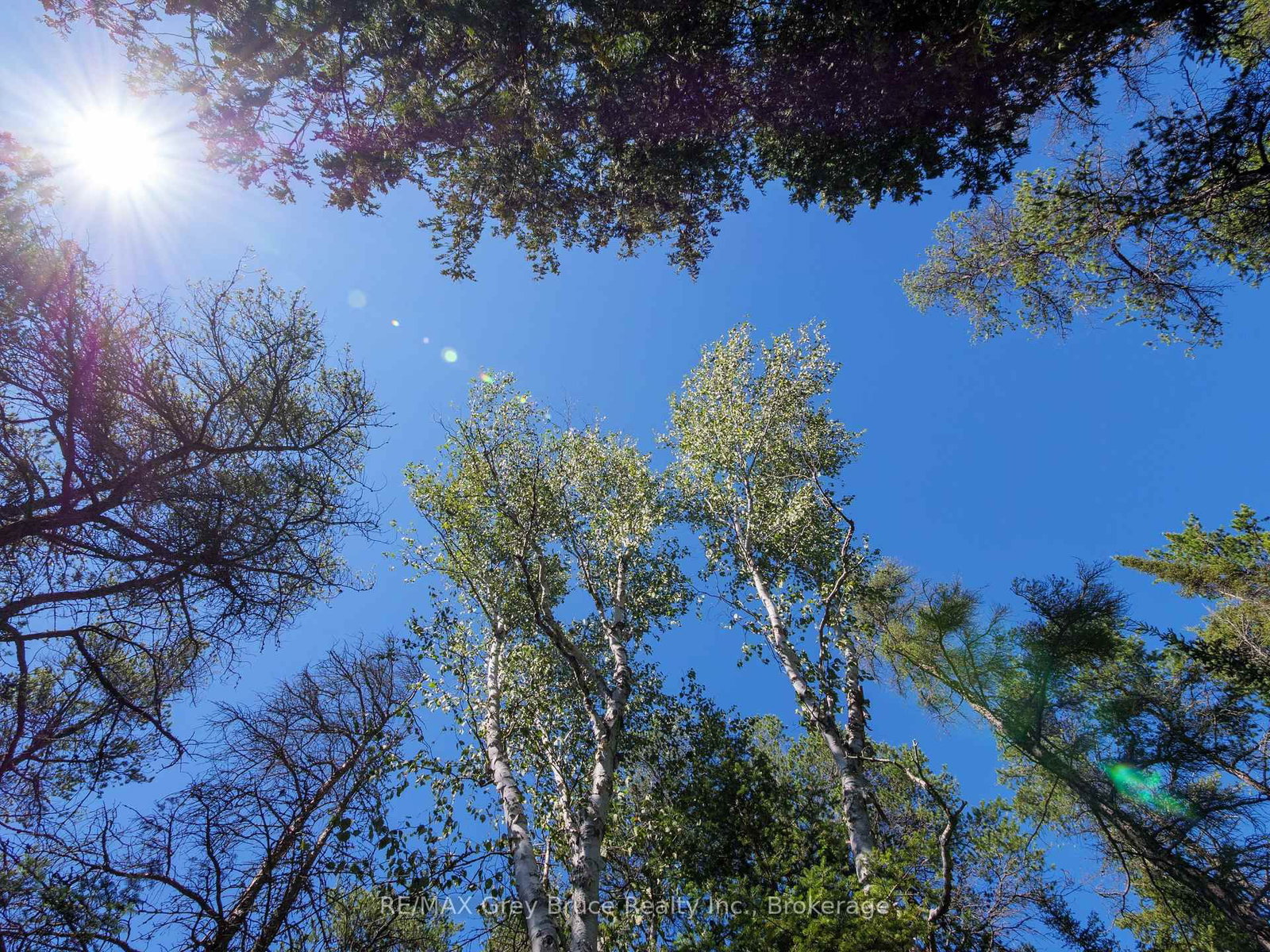 LT 191 PL 433 Dorcas Bay Road • Northern Bruce Peninsula, ON photo 28