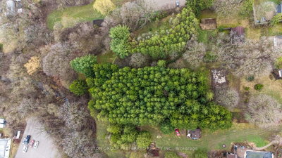 164 McKeand Street • Ingersoll, ON photo 5