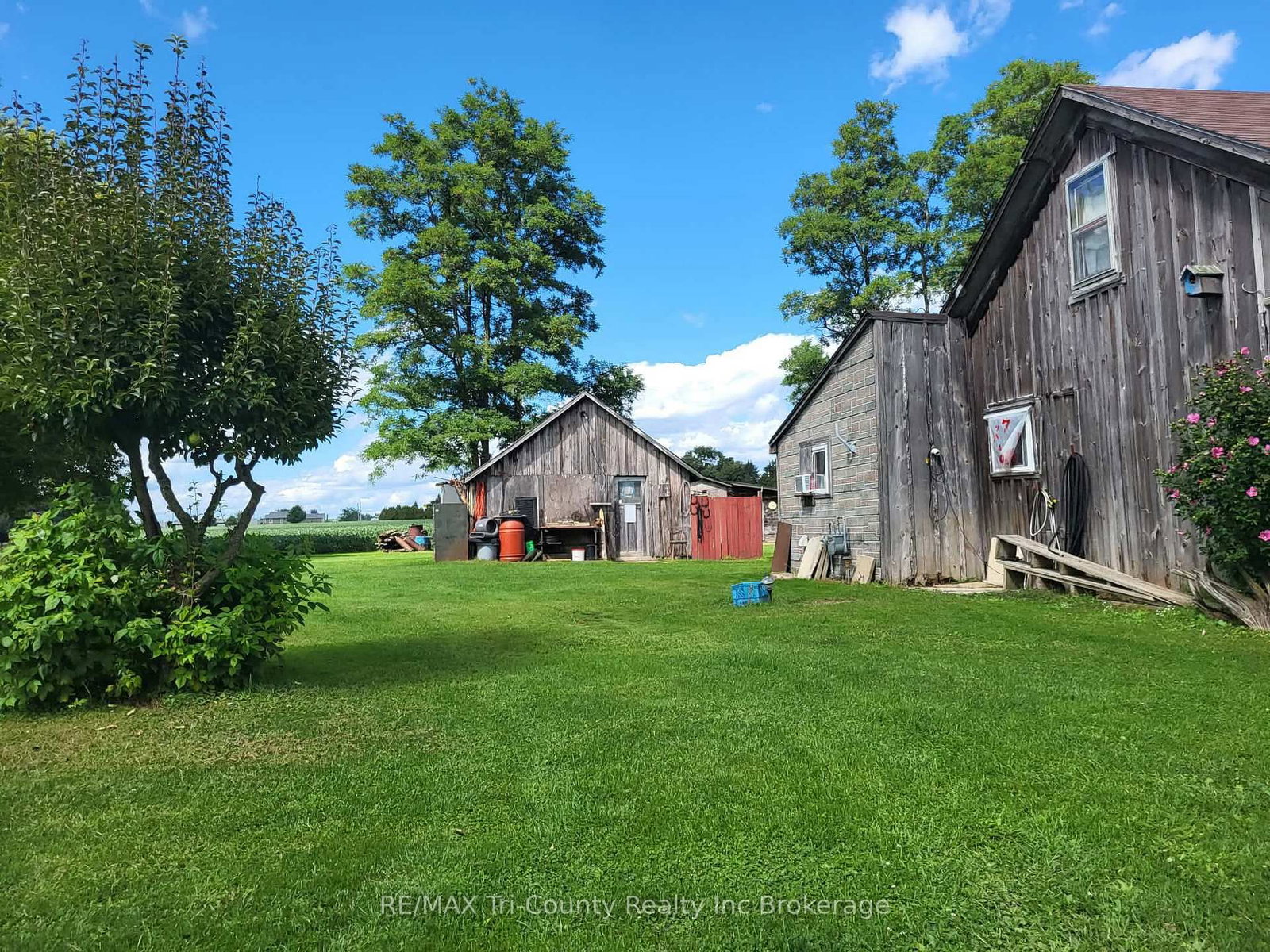 44 North Street • Norfolk, ON photo 5