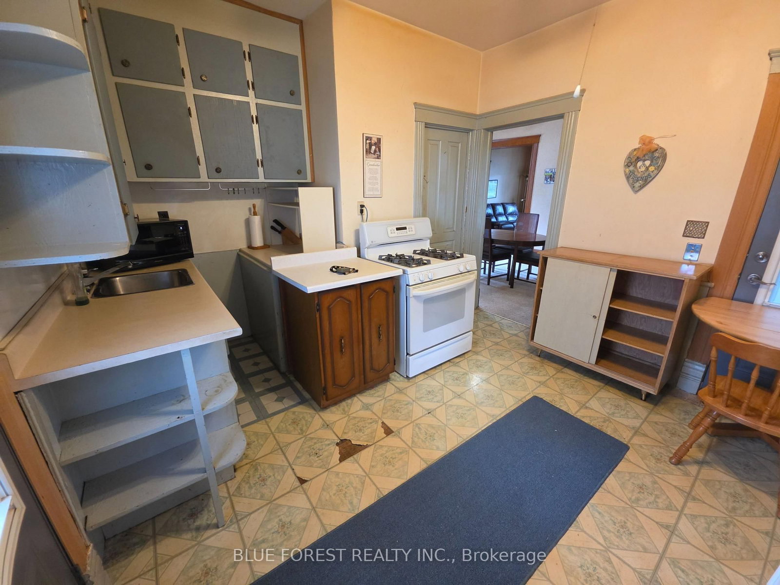 248 Ridout Street • West Elgin, ON photo 21