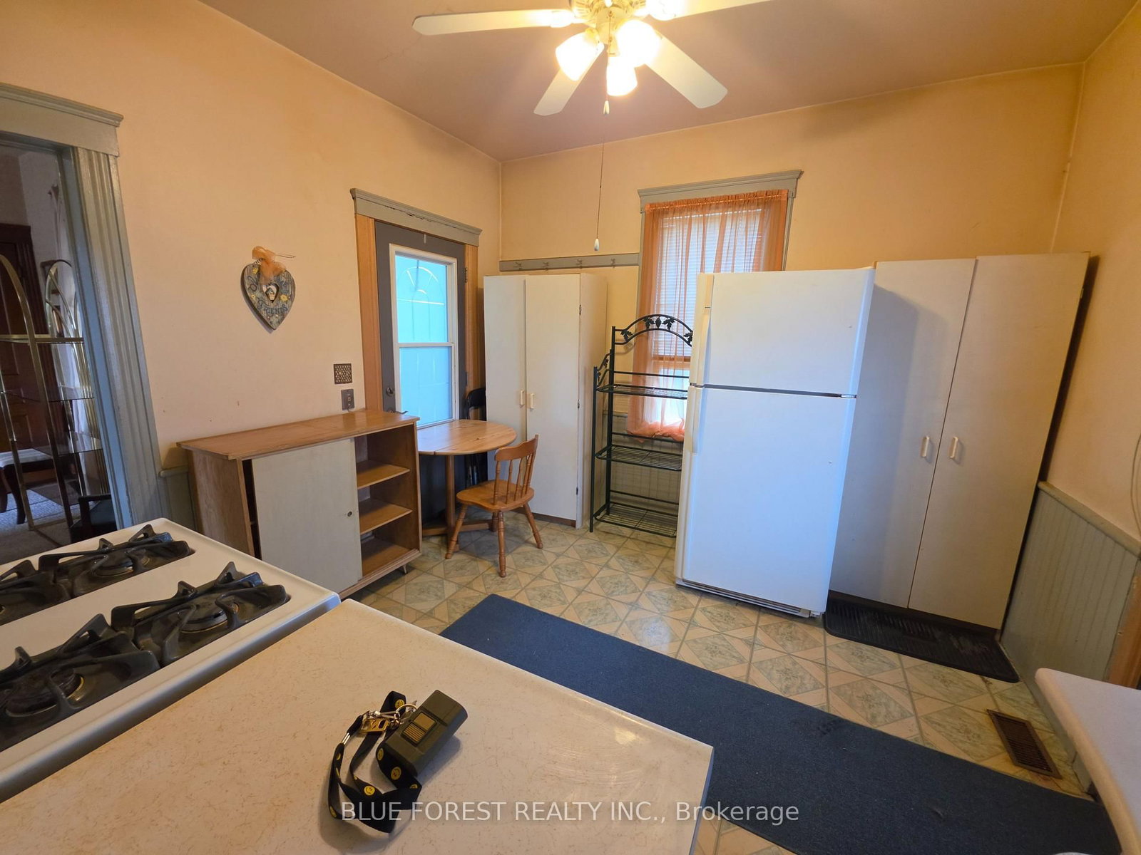 248 Ridout Street • West Elgin, ON photo 22