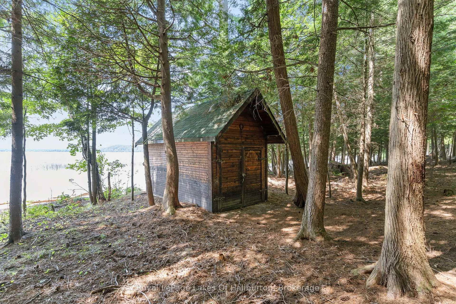 1046 Placid Lane • Algonquin Highlands, ON photo 10