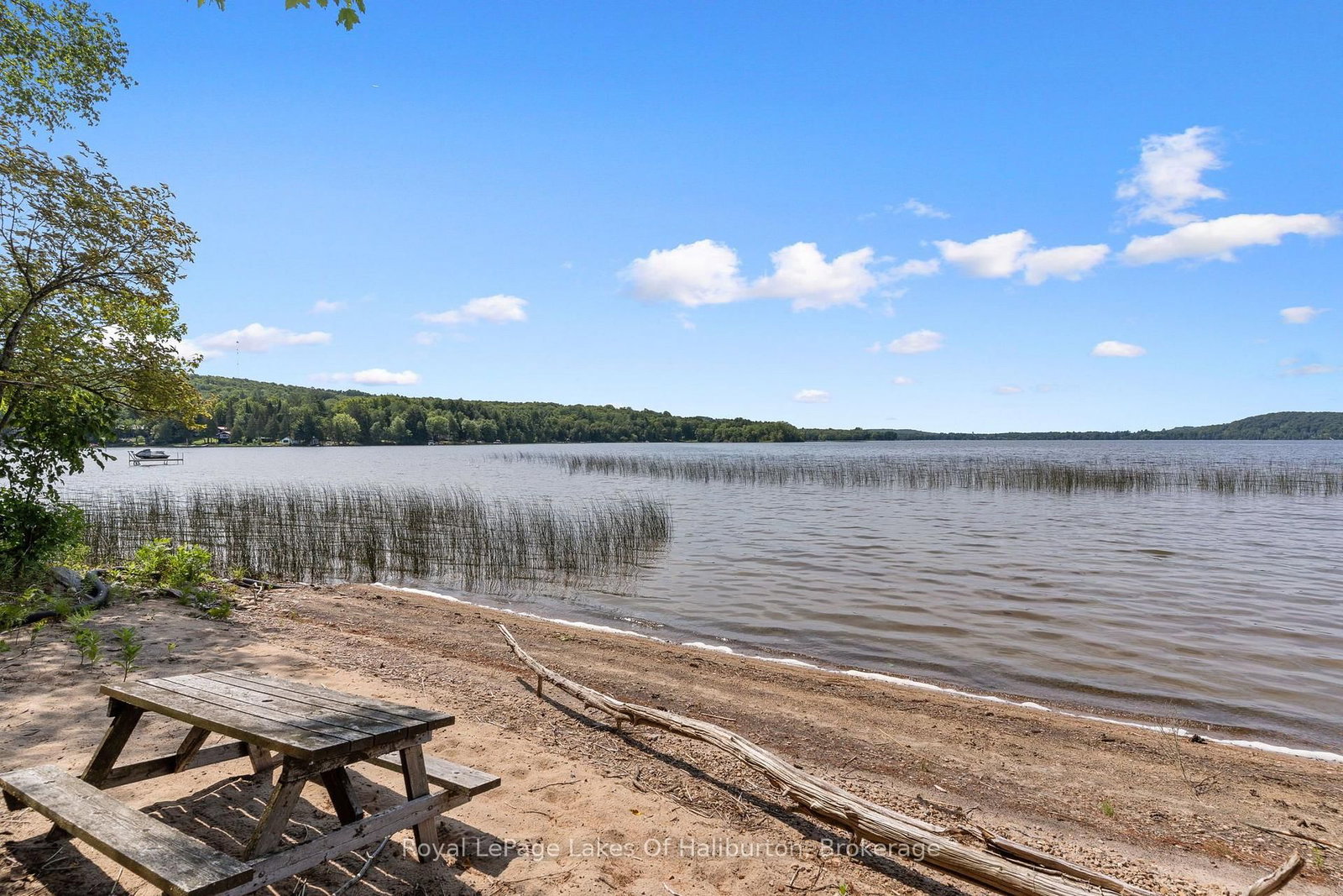 1046 Placid Lane • Algonquin Highlands, ON photo 18