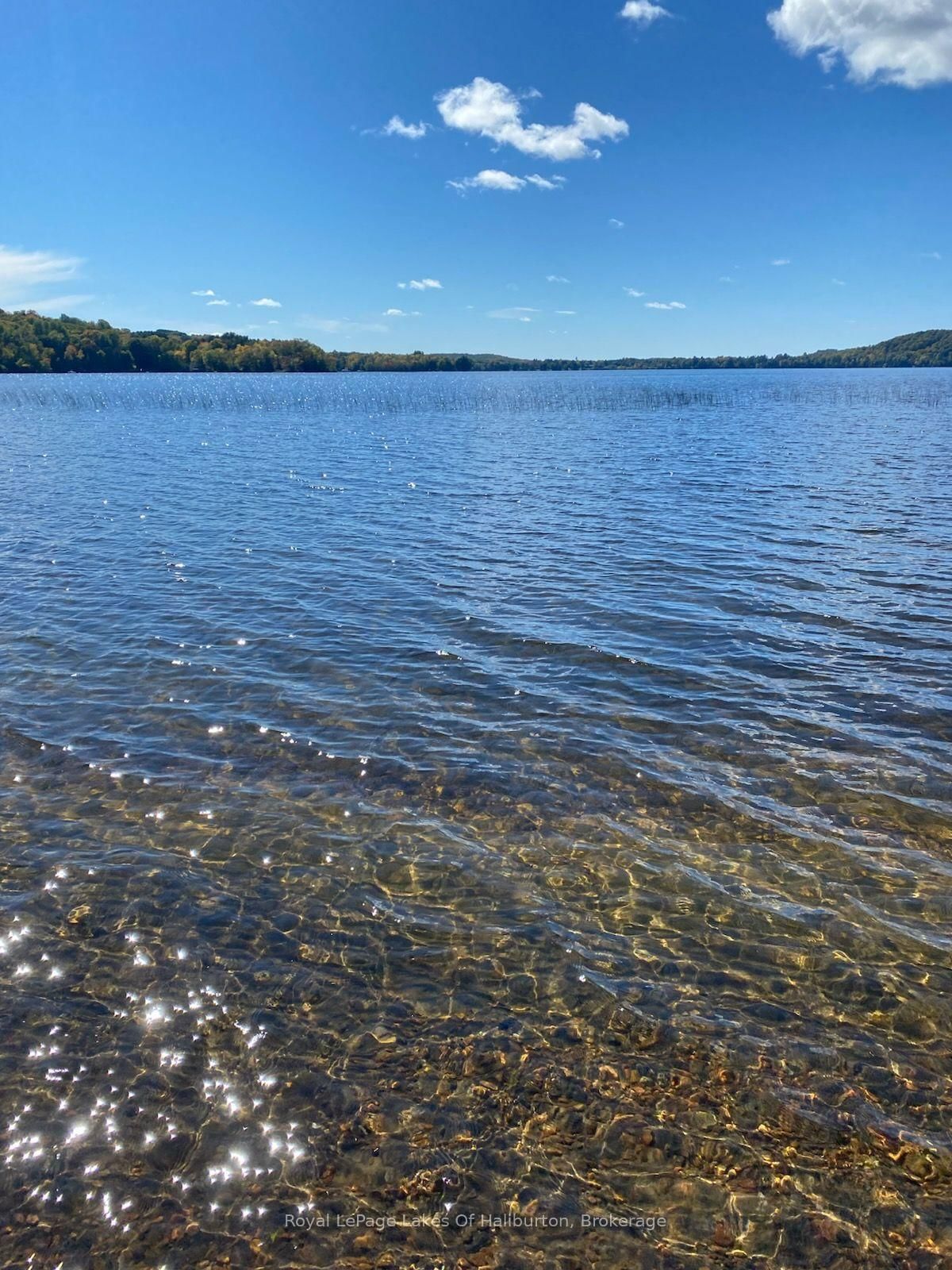 1046 Placid Lane • Algonquin Highlands, ON photo 2