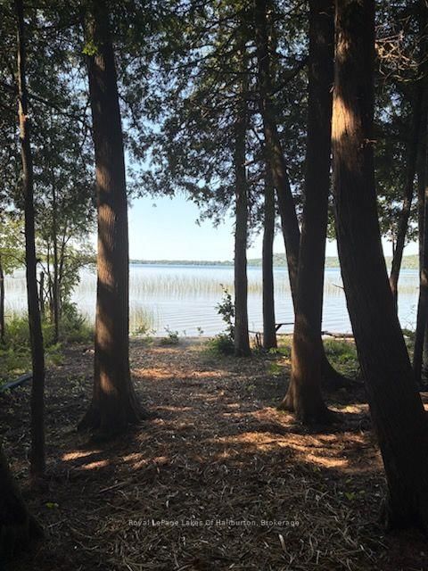1046 Placid Lane • Algonquin Highlands, ON photo 22