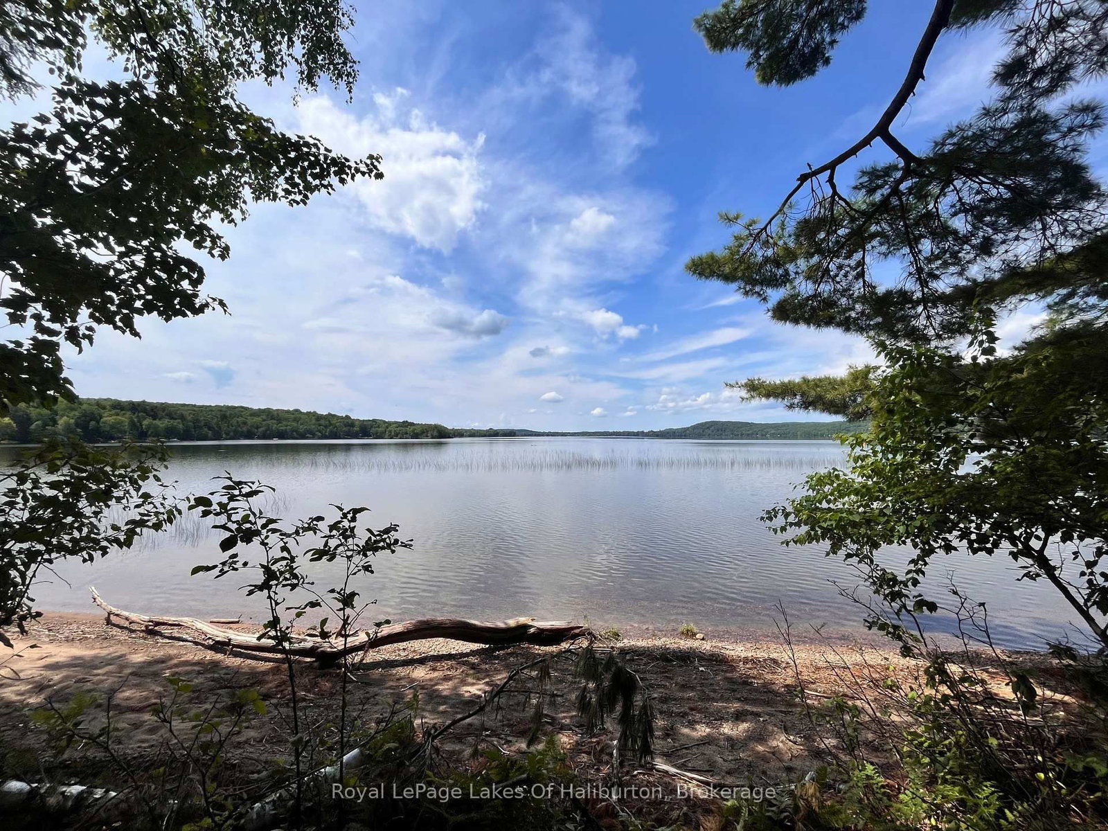 1046 Placid Lane • Algonquin Highlands, ON photo 25