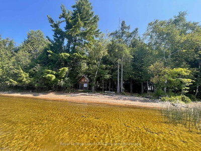 1046 Placid Lane • Algonquin Highlands, ON photo 4
