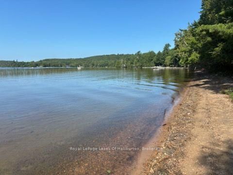 1046 Placid Lane • Algonquin Highlands, ON photo 7