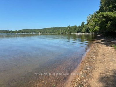 1046 Placid Lane • Algonquin Highlands, ON photo 7
