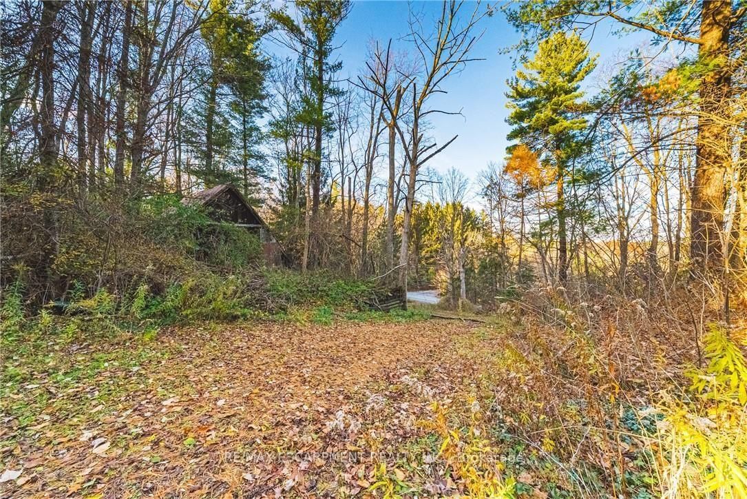 1296 Mineral Springs Road • Hamilton, ON photo 4