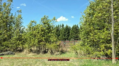 Lot 18 8th Concession • Chatsworth, ON photo 4