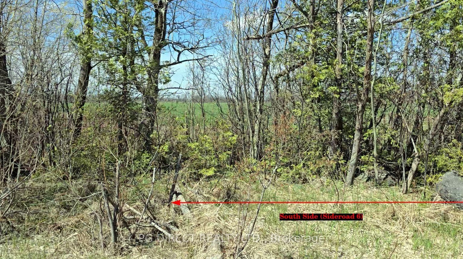 Lot 18 8th Concession • Chatsworth, ON photo 5