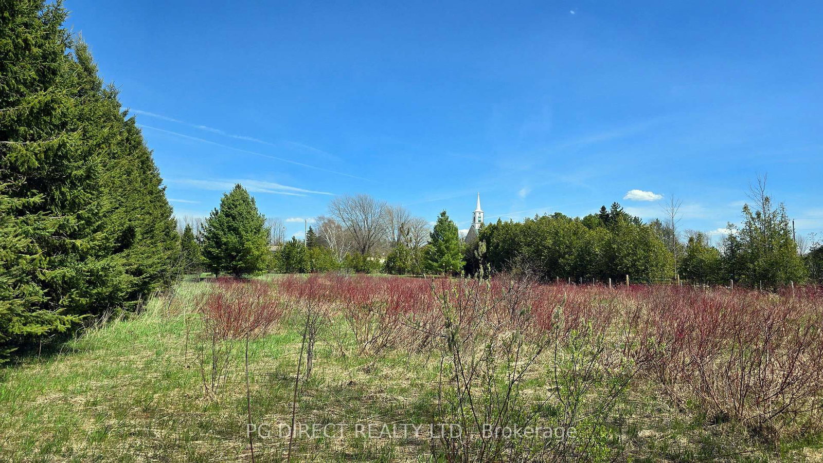 Lot 18 8th Concession • Chatsworth, ON photo 8