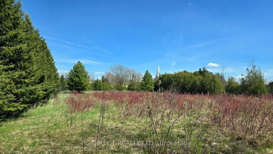 Lot 18 8th Concession • Chatsworth, ON photo 8