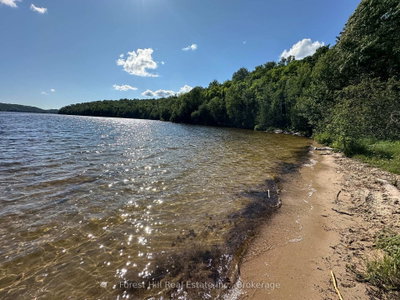 Vacant Land for sale at Pt Lt 8,9,10 Con 13, Parry Sound Remote Area, Ontario, P0H 1S0 - Wilson - MLS: X13725568