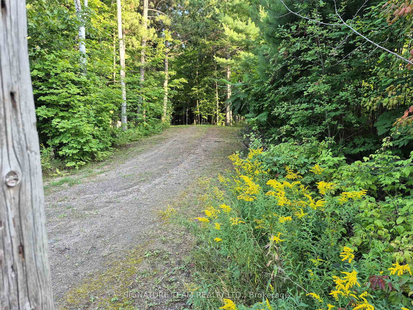 3155 Mountain View Road • Killaloe, ON photo 11