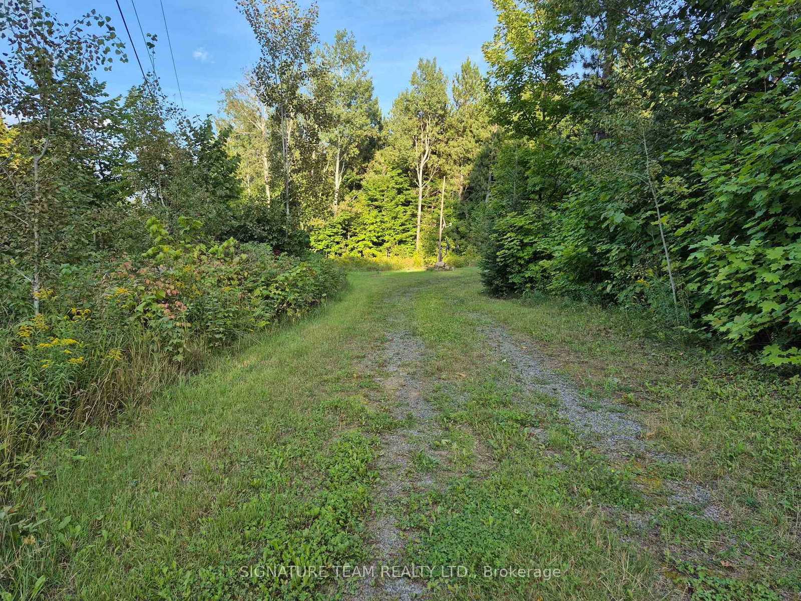 3155 Mountain View Road • Killaloe, ON photo 12