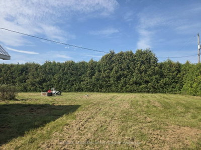 900 Con 9 Plantagenet Concession • Alfred and Plantagenet, ON photo 8