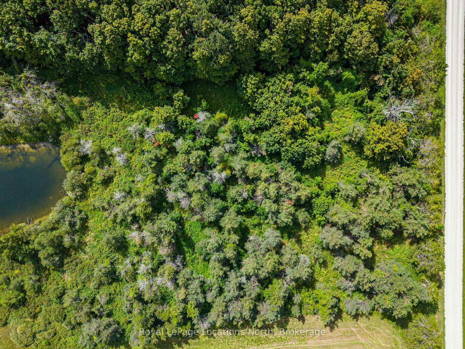 Lot 15 3rd Line E • Blue Mountains, ON photo 3