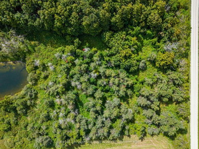Lot 15 3rd Line E • Blue Mountains, ON photo 3